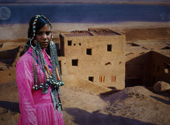 بيوت الكرشيف