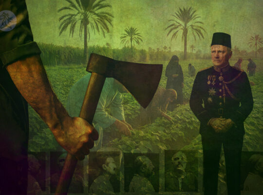 صورة الفلاح المصري في مرآة الاستعمار والإعلام المحلي.. من احتقار التاريخ إلى احتقار الواقع