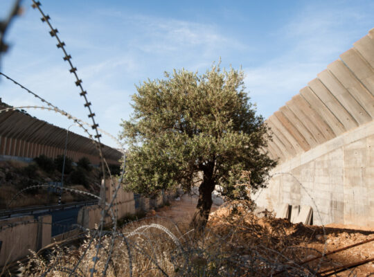 العمل حين يصير عبوراً.. عمّال الضفّة في مسارات التهريب بعد السابع من أكتوبر