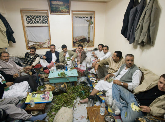 تخزين القات